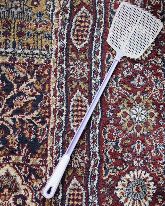 Cleaning and Maintaining Your Rustic Farmhouse Area Rugs: Offering advice on proper care techniques to ensure the longevity of these decorative pieces.